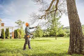 Best Organic Lawn Care Solutions  in Norton, KS