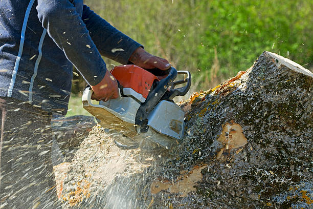 Best Soil Testing and Treatment  in Norton, KS